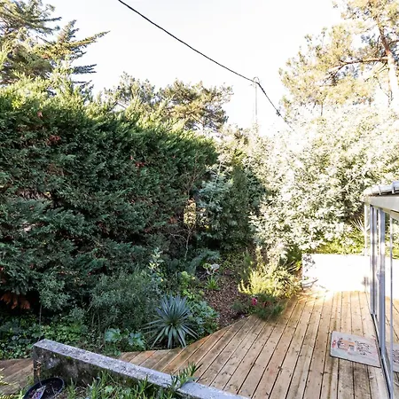 Cap Ferret Phare Ref225 Ferienhaus *